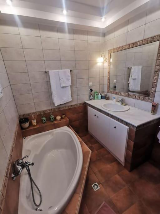 Mama'S House. 300M Απο Τον Μύλο Των Ξωτικών. Villa Tríkala Eksteriør billede